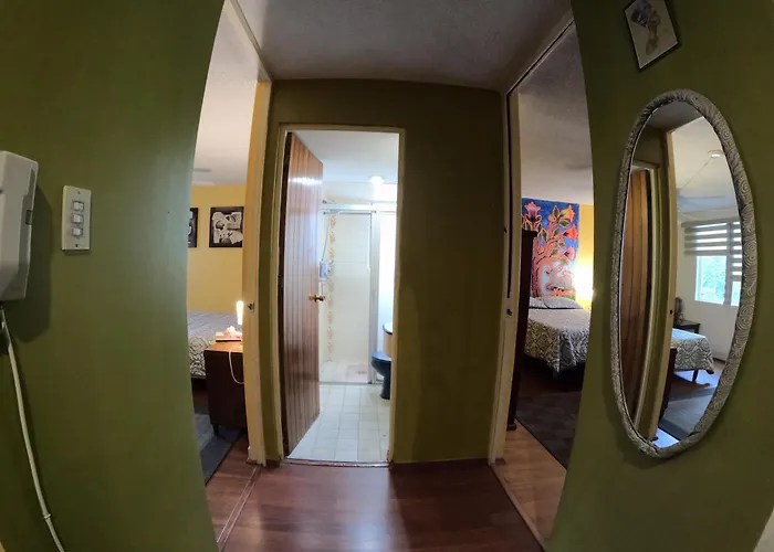 Neighbor Of Frida Khalo, Vintage In Coyoacan Apartment *